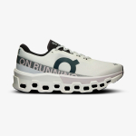Tênis On Running Cloudmonster 2 Masculino Branco-Cinza
