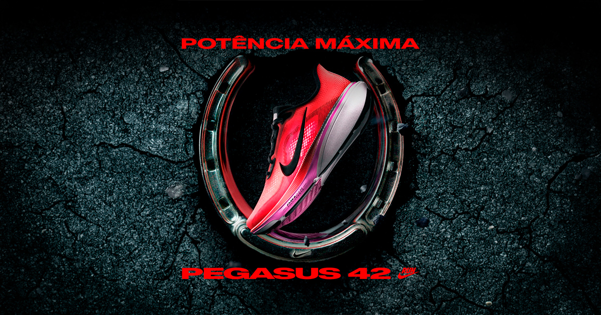 Banner-Pegasus-42